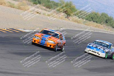 media/Oct-14-2023-Lucky Dog Racing (Sat) [[cef75db616]]/Turn 12 Exit-Bowl Backside (230pm)/